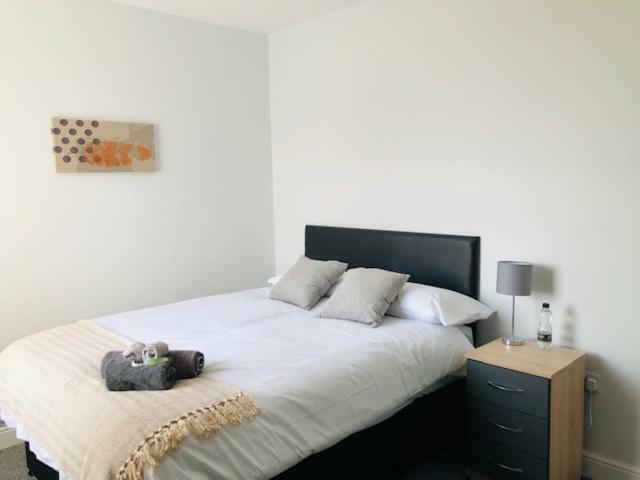 Townhouse @ 51 Balfour St, Stoke Hotel Ngoại thất bức ảnh